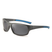 ΠΟΛΩΤΙΚΑ ΓΥΑΛΙΑ ΗΛΙΟΥ POLAREYE PTE2115